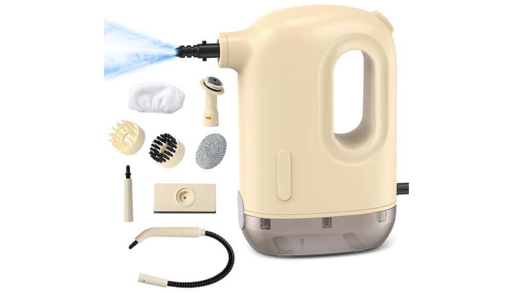 Bwaliffury Nettoyeur Vapeur Portable